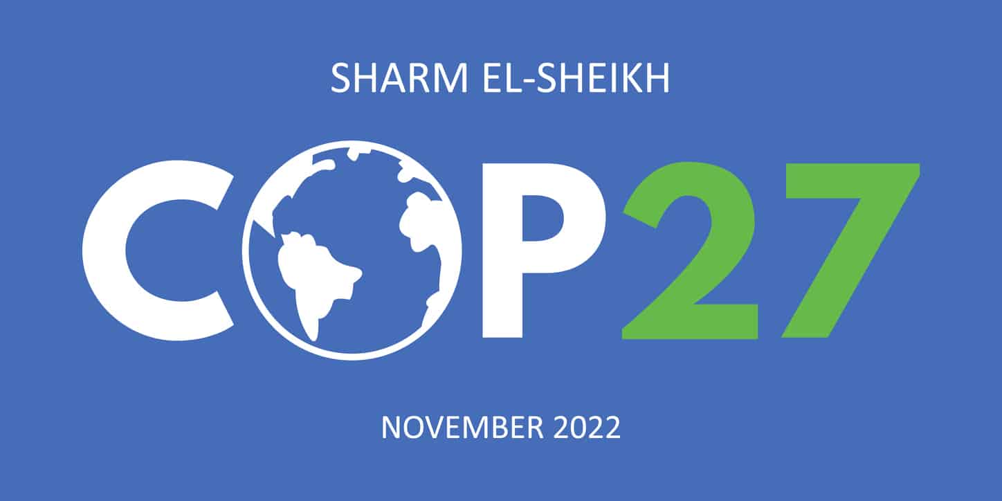 COP27 blue banner with globe